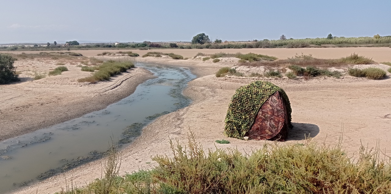 The sporadic summer drying out of the Pantani Cuba & Panta - Bild 3